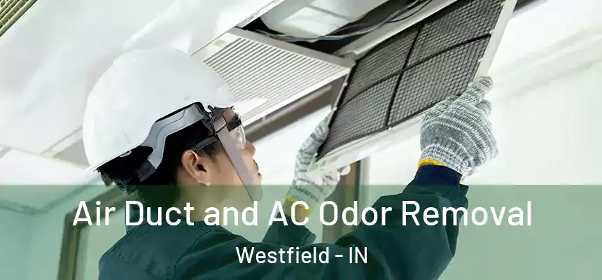  Air Duct and AC Odor Removal Westfield - IN