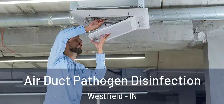  Air Duct Pathogen Disinfection Westfield - IN