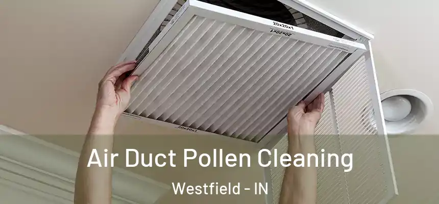  Air Duct Pollen Cleaning Westfield - IN