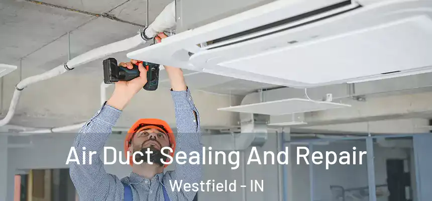  Air Duct Sealing And Repair Westfield - IN