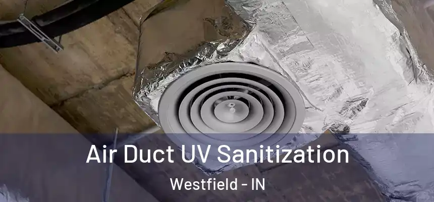 Air Duct UV Sanitization Westfield - IN