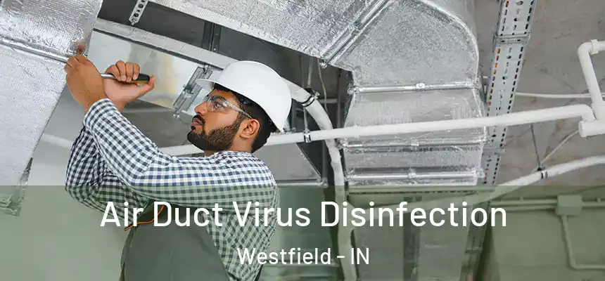  Air Duct Virus Disinfection Westfield - IN