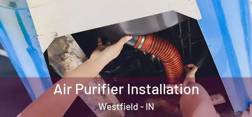  Air Purifier Installation Westfield - IN
