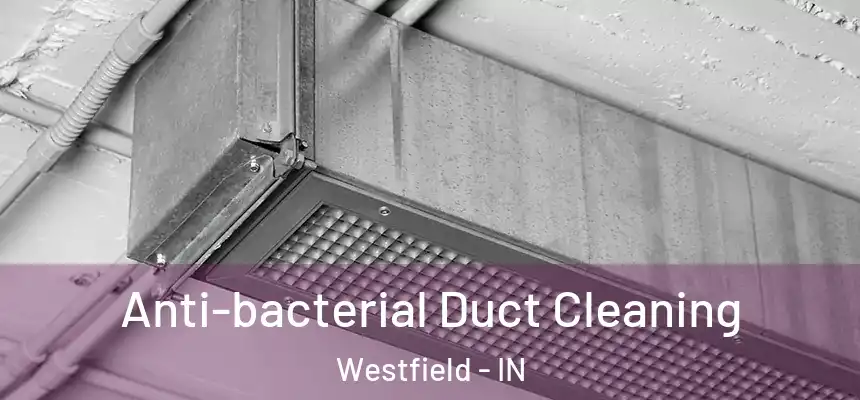  Anti-bacterial Duct Cleaning Westfield - IN