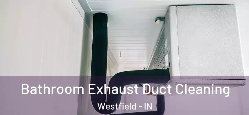  Bathroom Exhaust Duct Cleaning Westfield - IN
