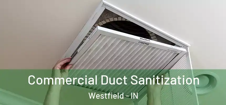 Commercial Duct Sanitization Westfield - IN