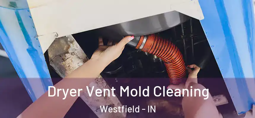  Dryer Vent Mold Cleaning Westfield - IN