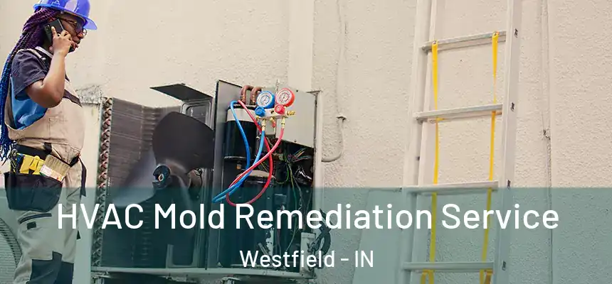  HVAC Mold Remediation Service Westfield - IN