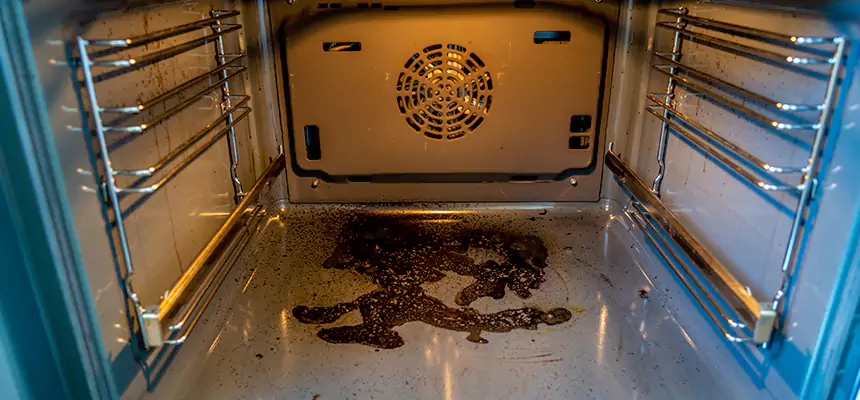 Our Dryer Vent Mold Cleaning Services in Westfield, IN