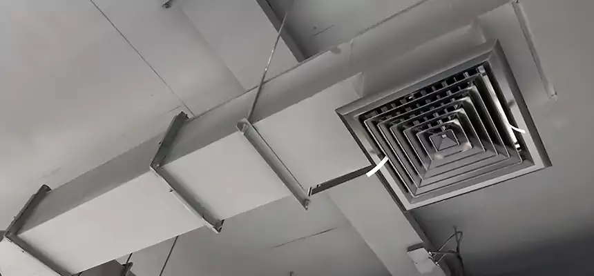 Our Rodent Droppings In Vents Services in Westfield, IN