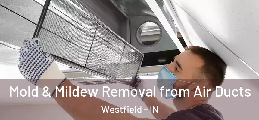  Mold & Mildew Removal from Air Ducts Westfield - IN