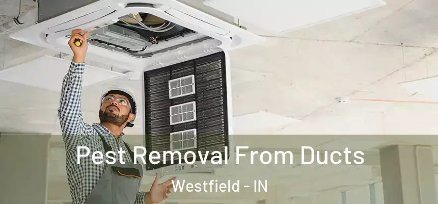  Pest Removal From Ducts Westfield - IN