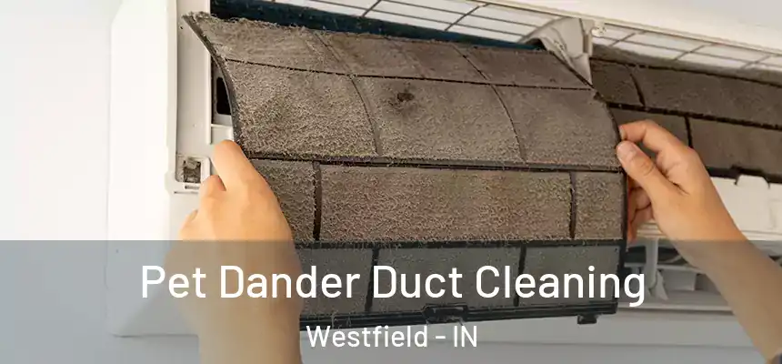 Pet Dander Duct Cleaning Westfield - IN