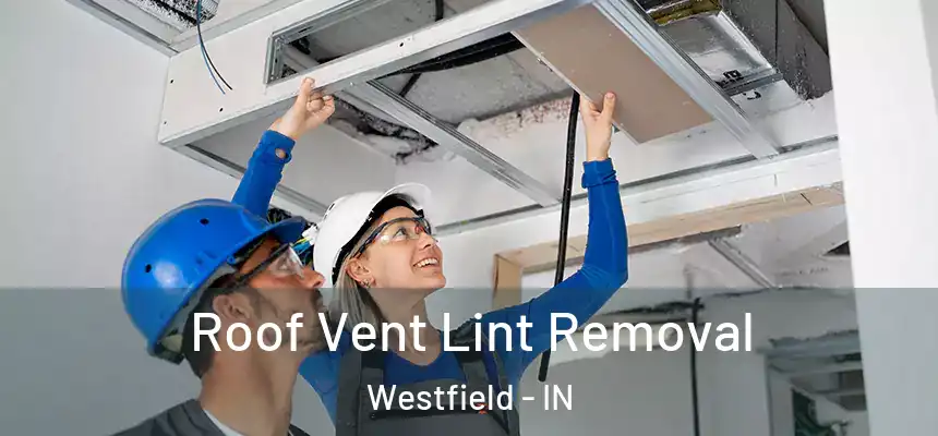  Roof Vent Lint Removal Westfield - IN