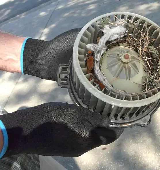 About Air Duct Mice Removal in Westfield, IN