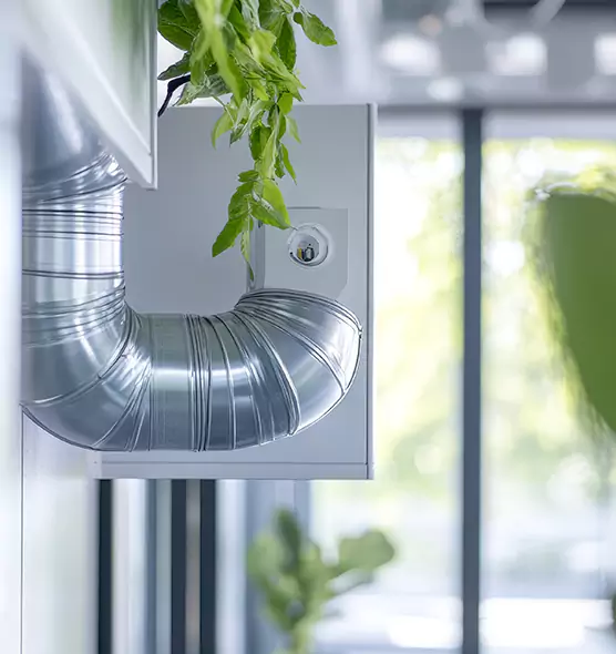 Professional Eco-Safe Dryer Vent Cleaning in Westfield, IN