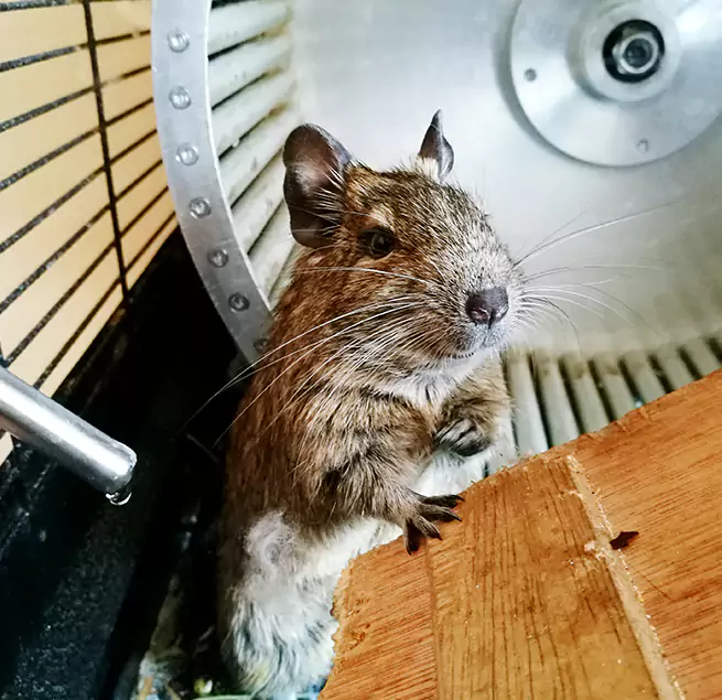 Why Homeowners & Businesses Trust Us Westfield, IN?