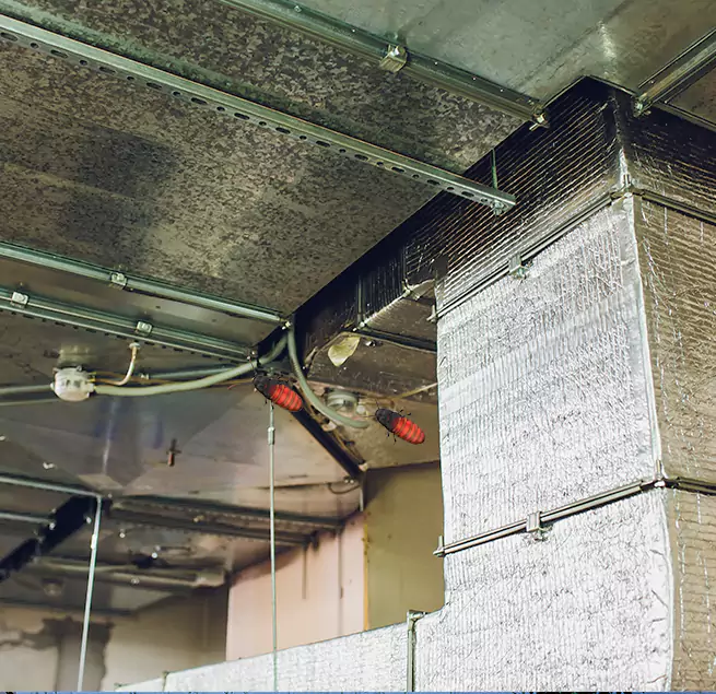 Why Homeowners & Businesses Trust Us Westfield, IN?